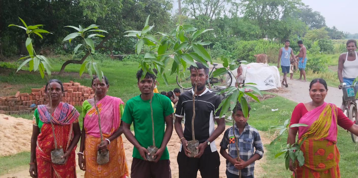 Tree Plantation - 5